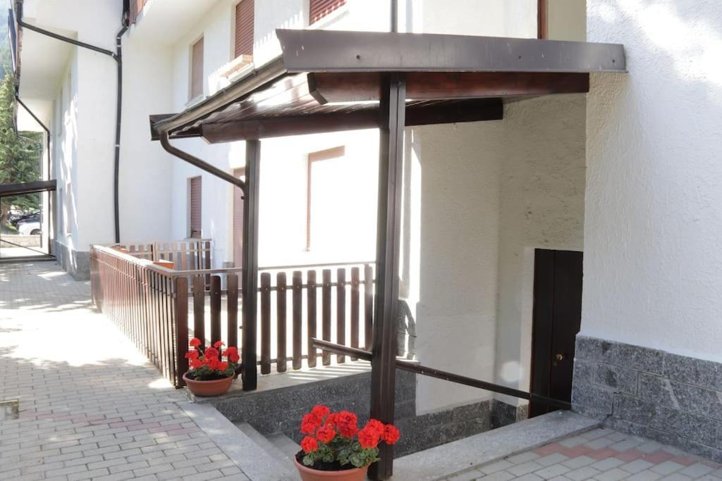 Apartment Stelu