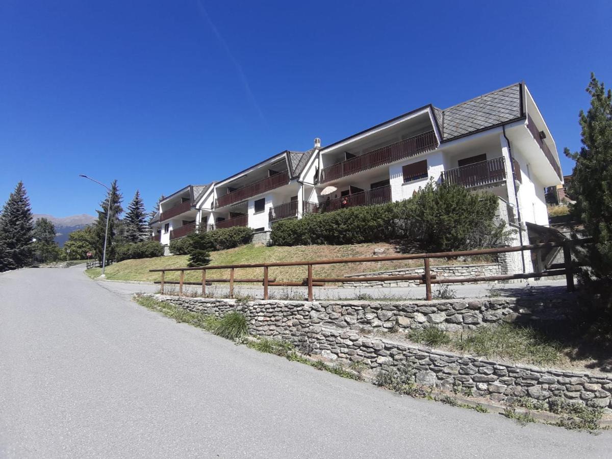 Apartment Stelu